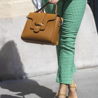 ARIEL CAMEL